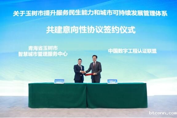 十年巨变，玉树常青——数字工程及城市可持续发展标准助力玉树智慧城市建设